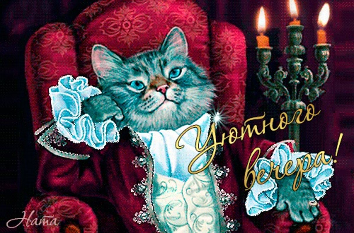 Чудесного вечера с кошками