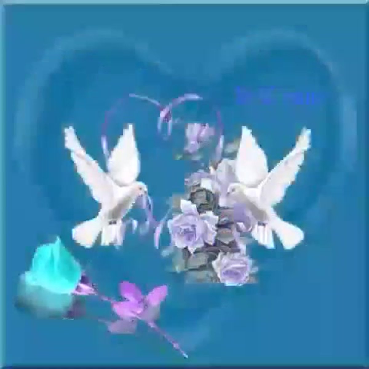 Сердце голубя