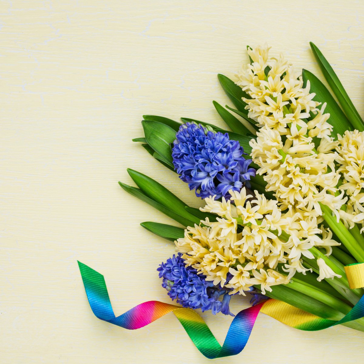 С 8 марта гиацинты