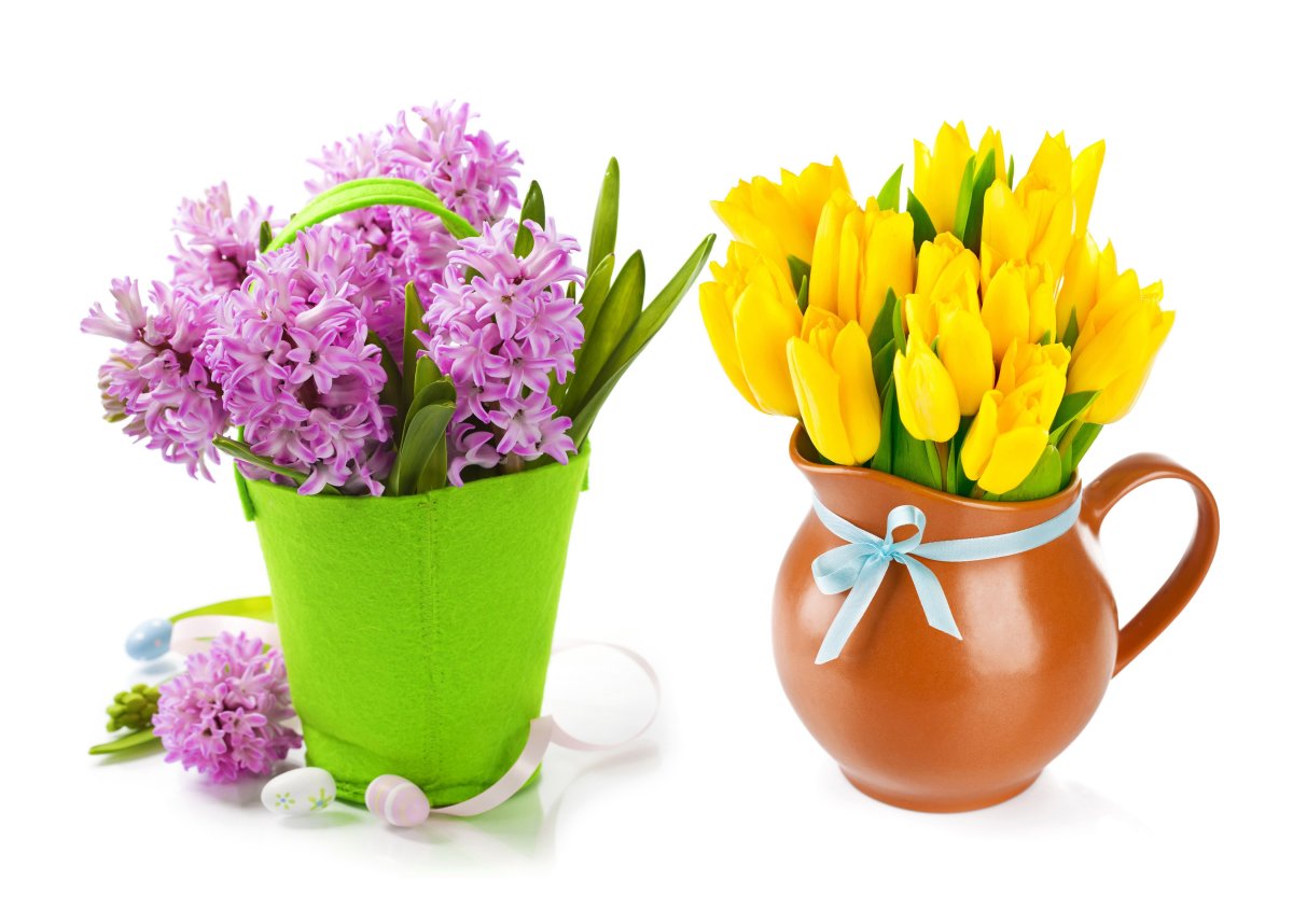 Гиацинт желтый