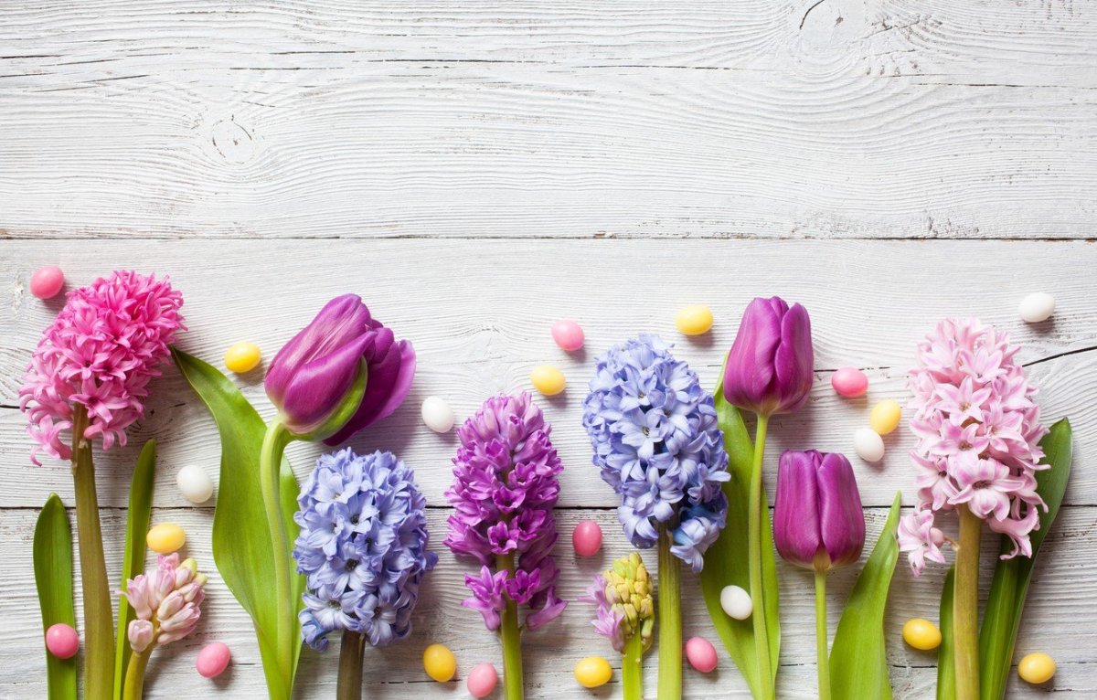 Крокусы и гиацинты