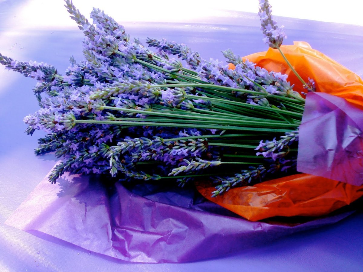 Лавандовое настроение