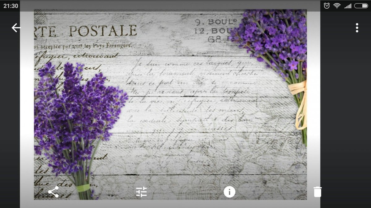 Фон в стиле Прованс с лавандой