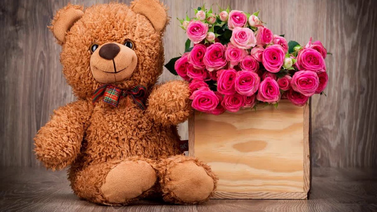 Международный день плюшевого мишки 27 октября