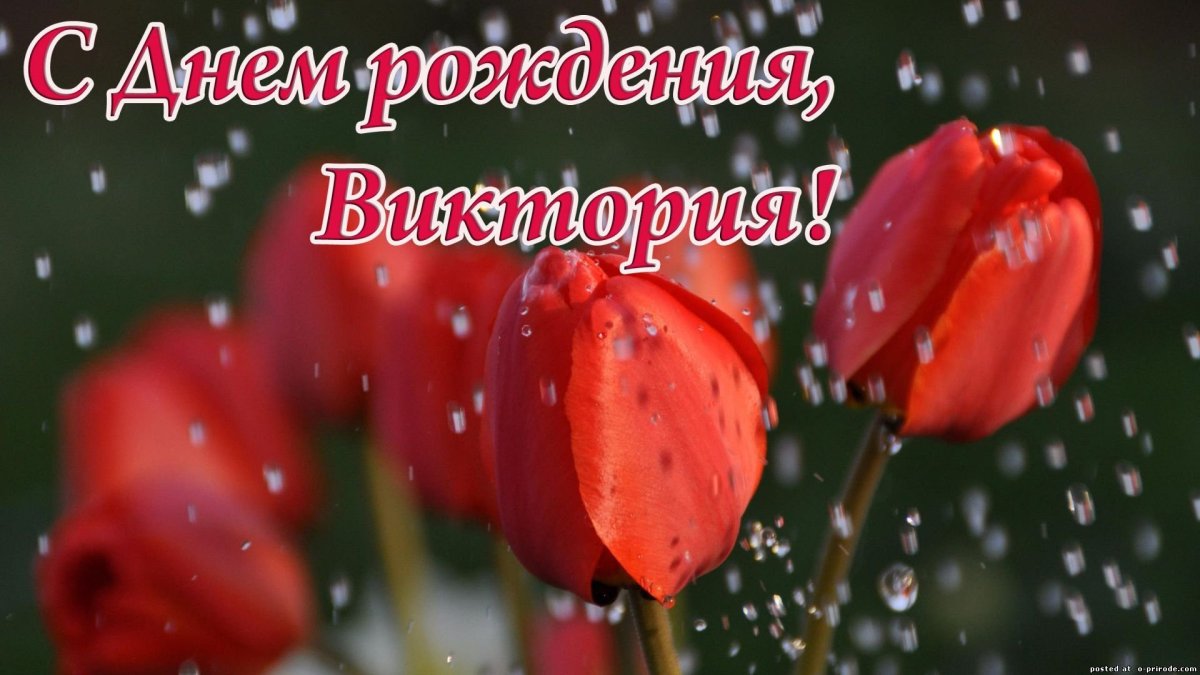 Викуся надпись