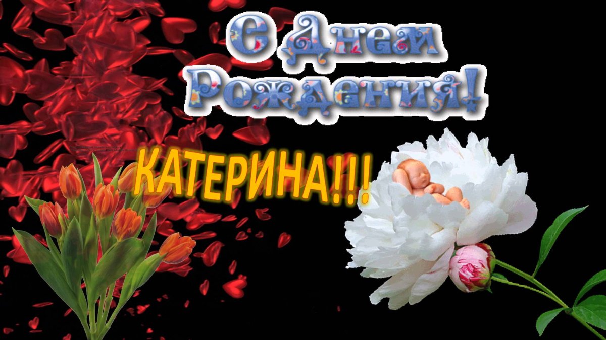 Поздравления с днём рождения