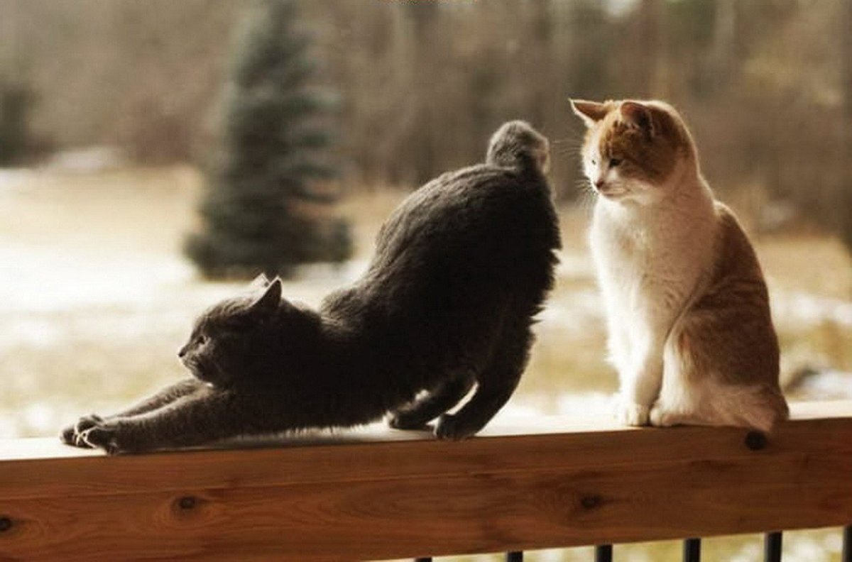 Картинка с намеком на близость любимому мужчине