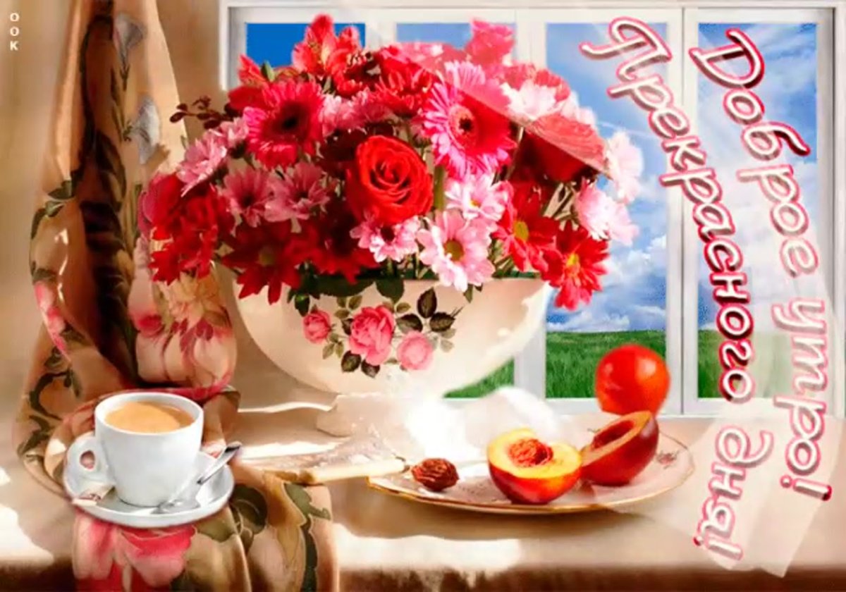 Доброе утро прекрасного дня