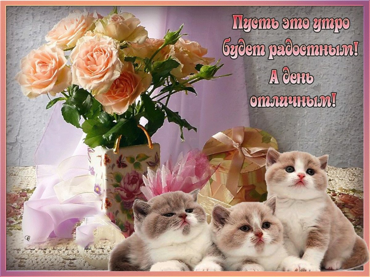 Чудесного дня и прекрасного настроения