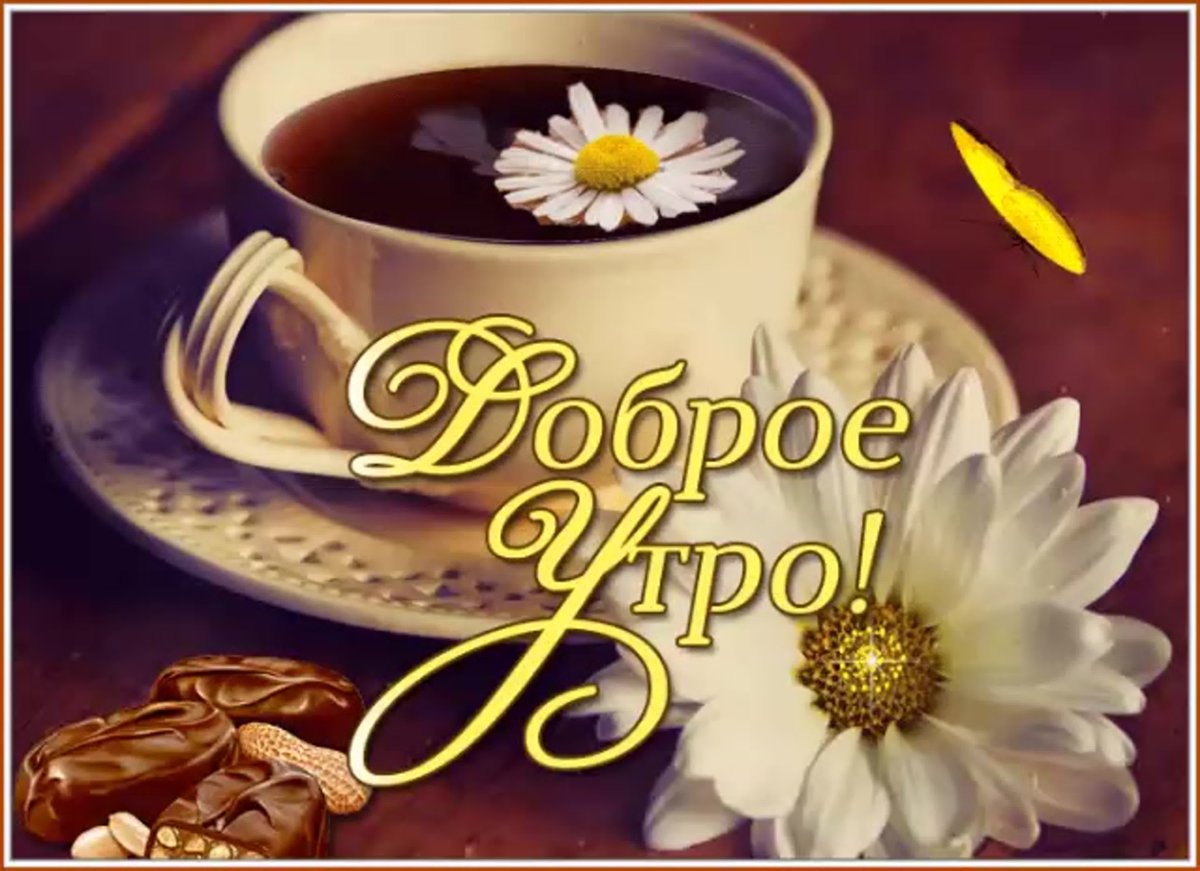 Открытки с добрым мирным утром