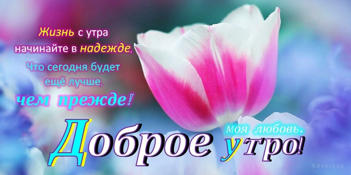 Доброе утро жизнь
