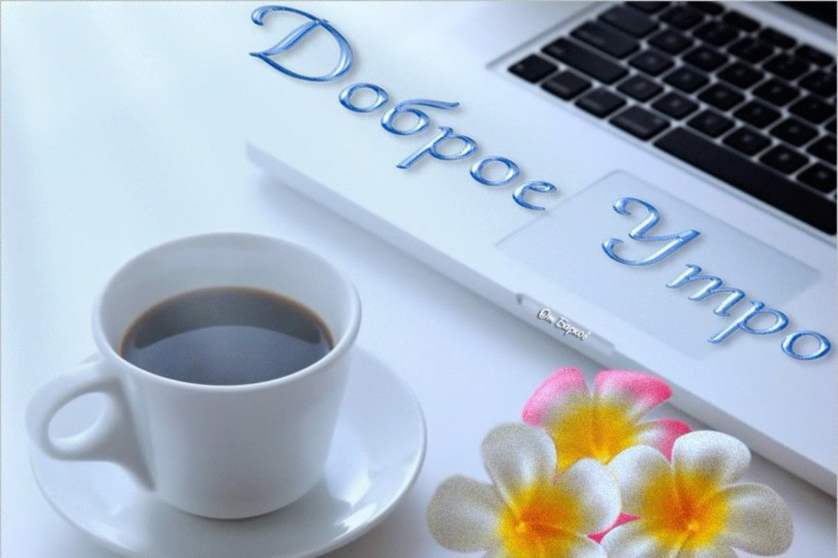 ВСМ кто допроснулся доброе утро