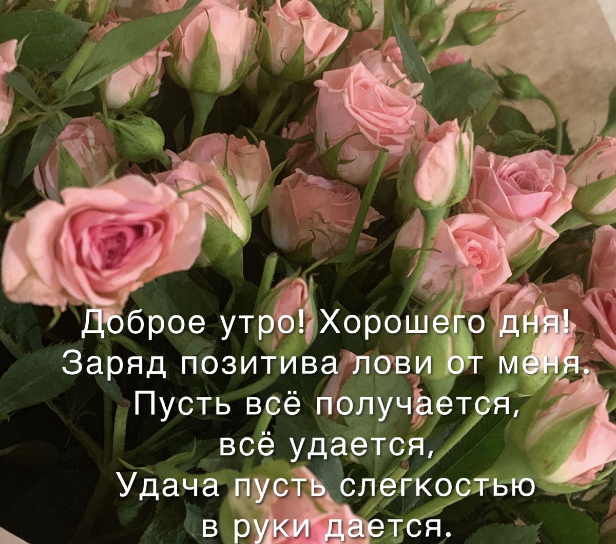 С добрым утром и днем надежды
