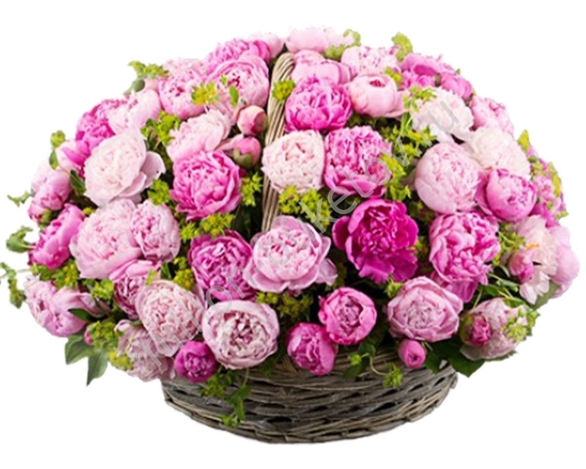 Пионы в корзине