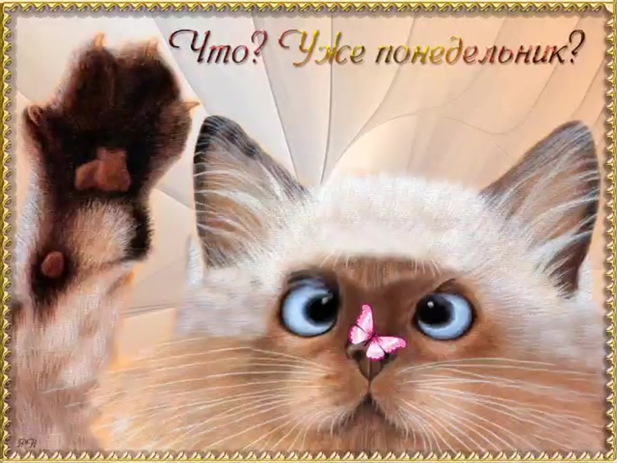 Открытки с понедельником прикольные
