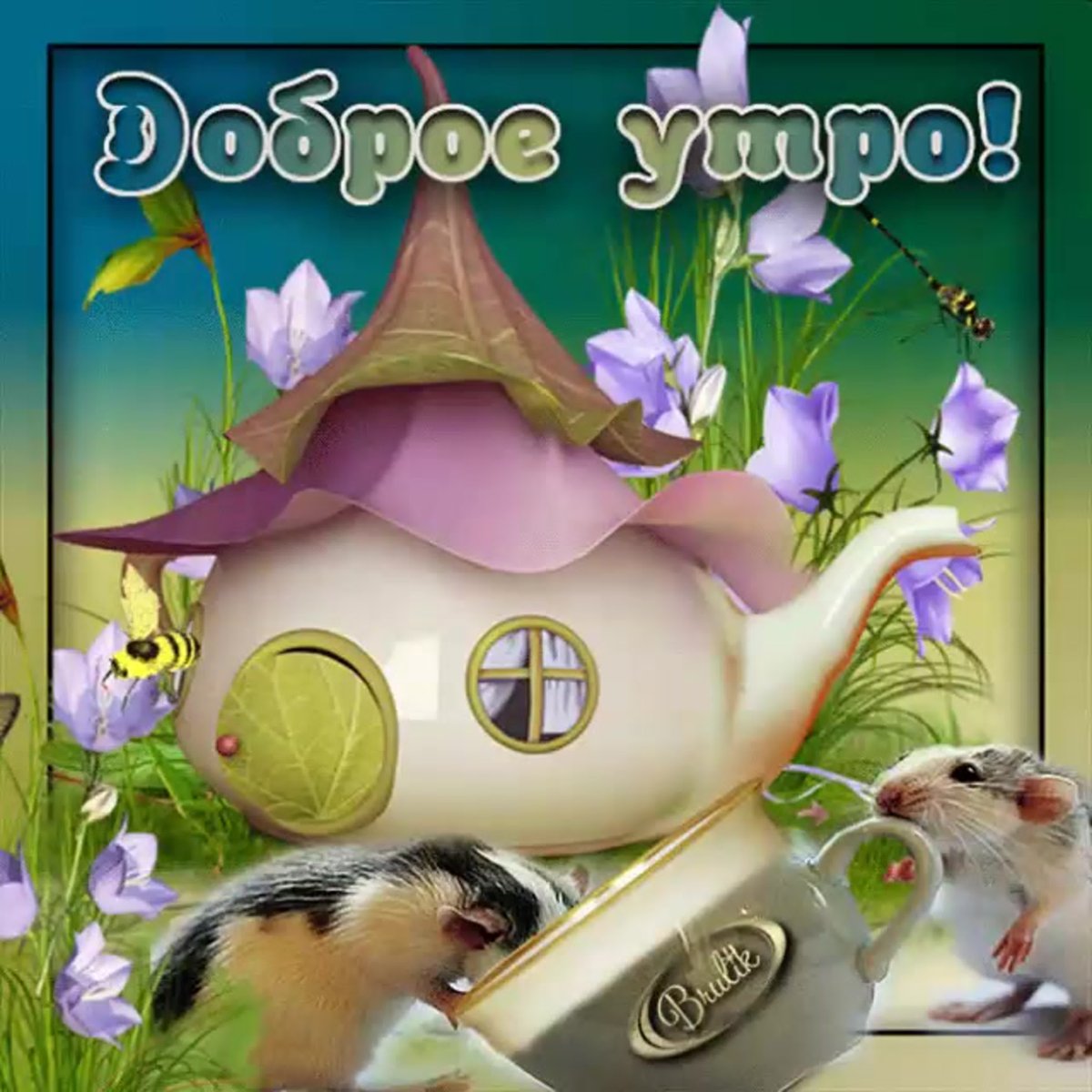 Веселые открытки с добрым утром