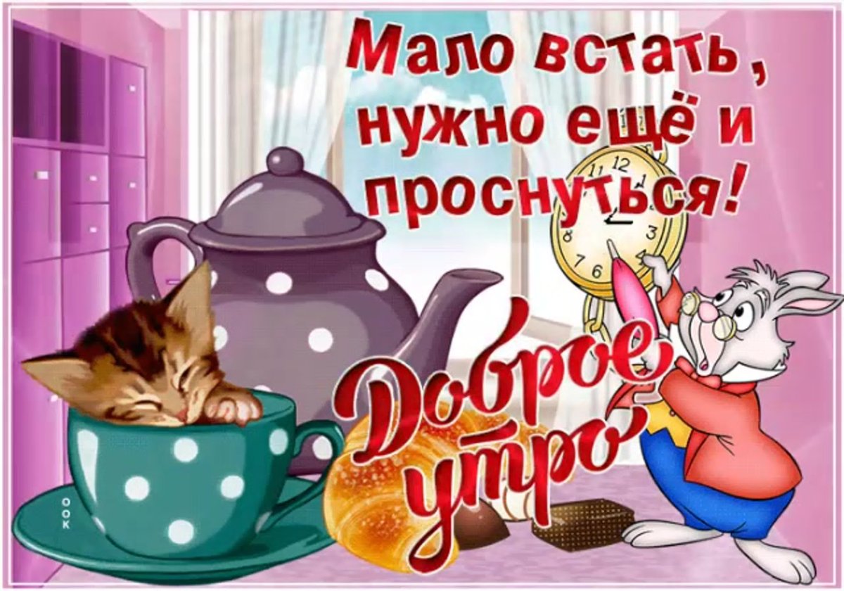 Гифки с добрым утром прикольные
