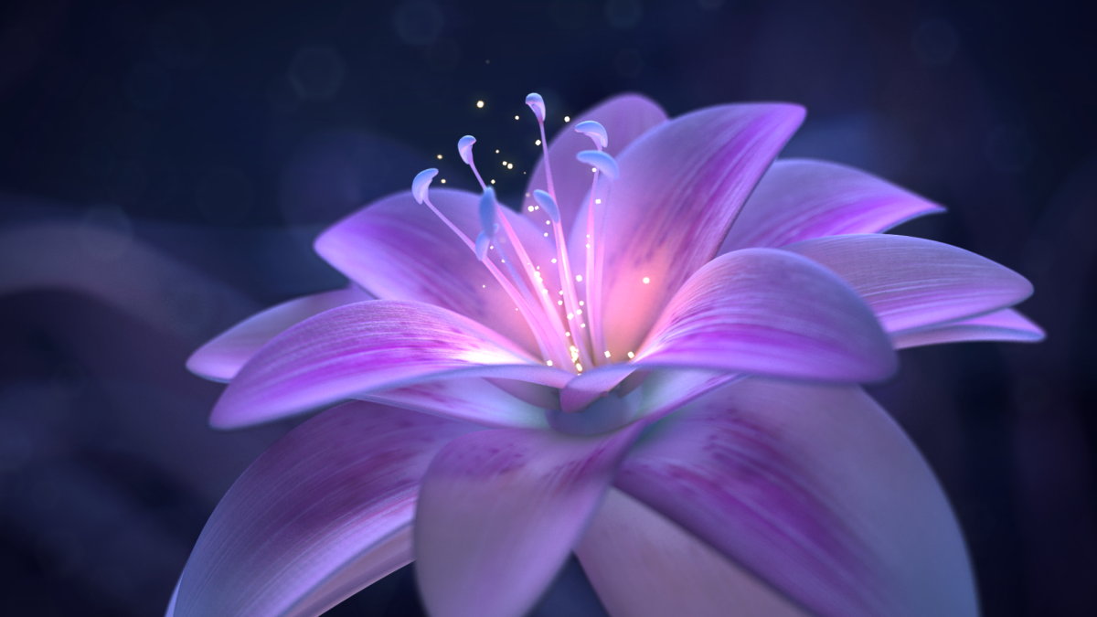 Анимация класс