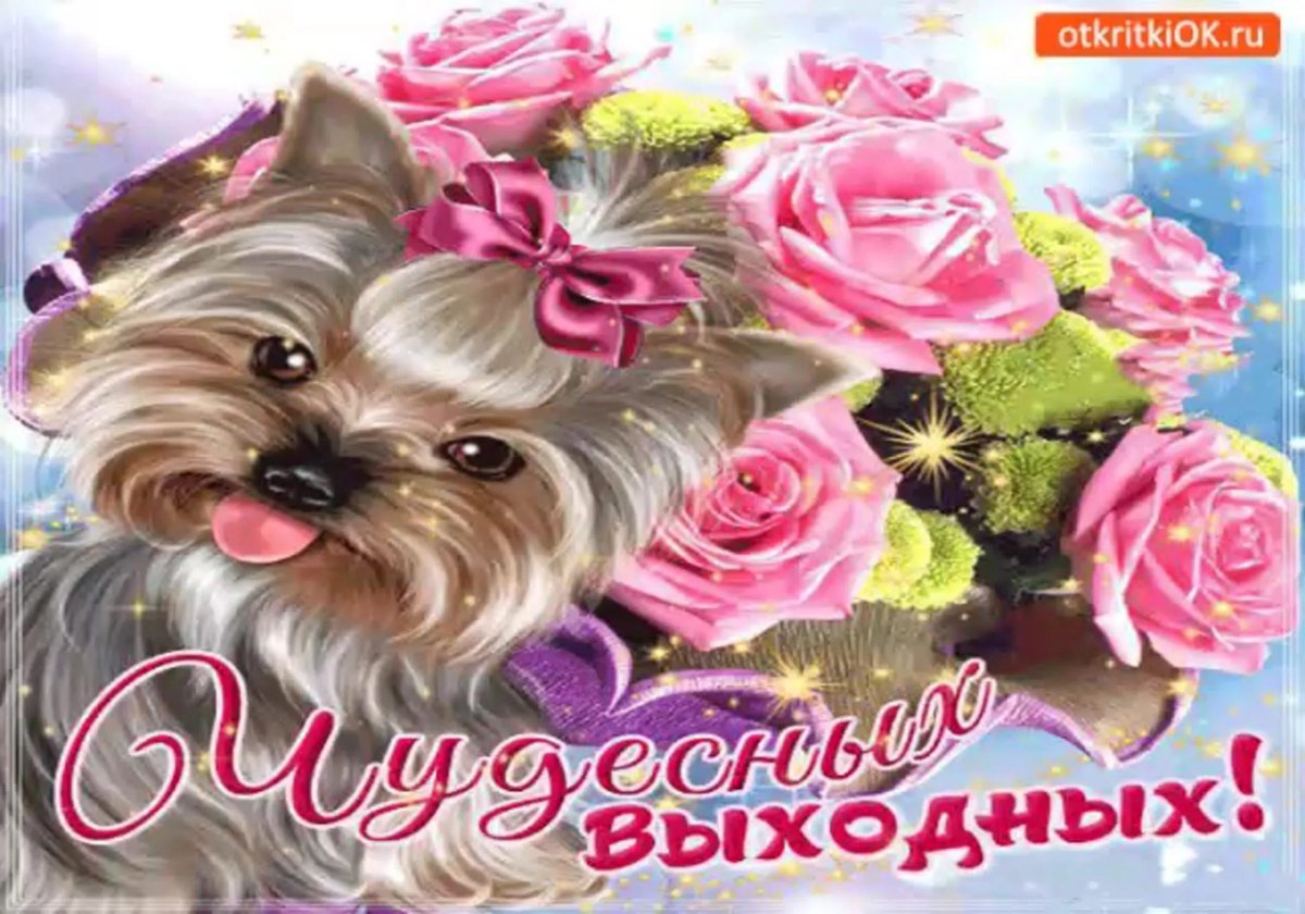 Хорошего вечера пятницы