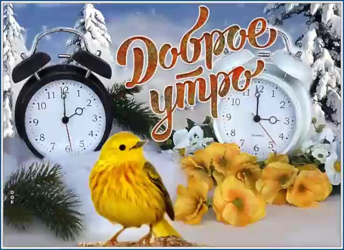 С добрым зимним утром четверга