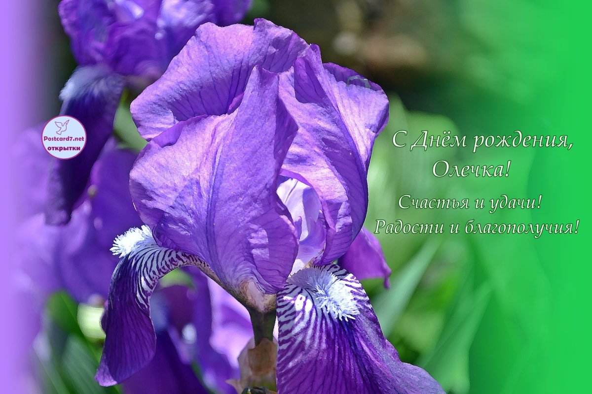 С днем рождения ирисы