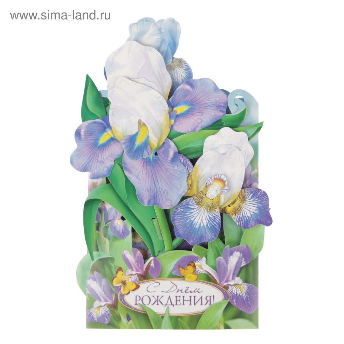 Ирисы букет