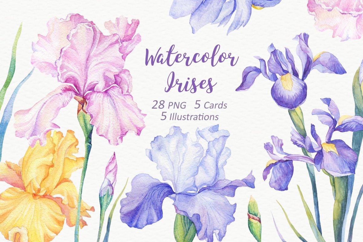 Букет ирисы и нарциссы