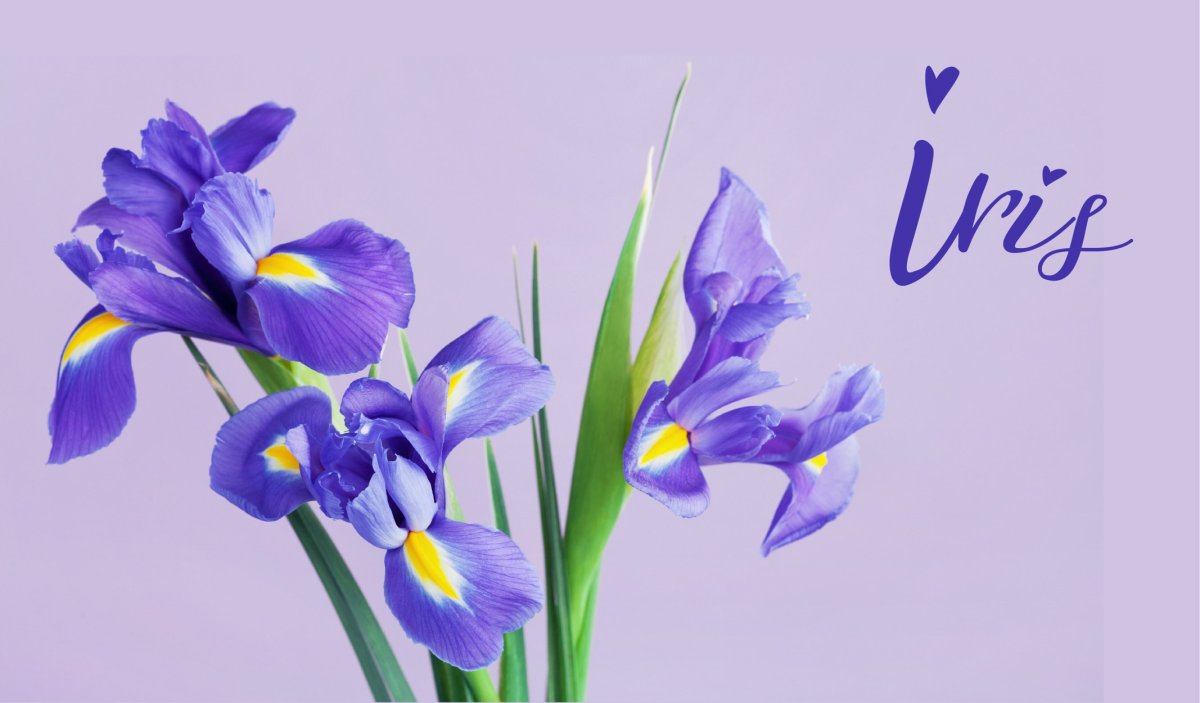 Открытки с 8 марта с поздравлениями