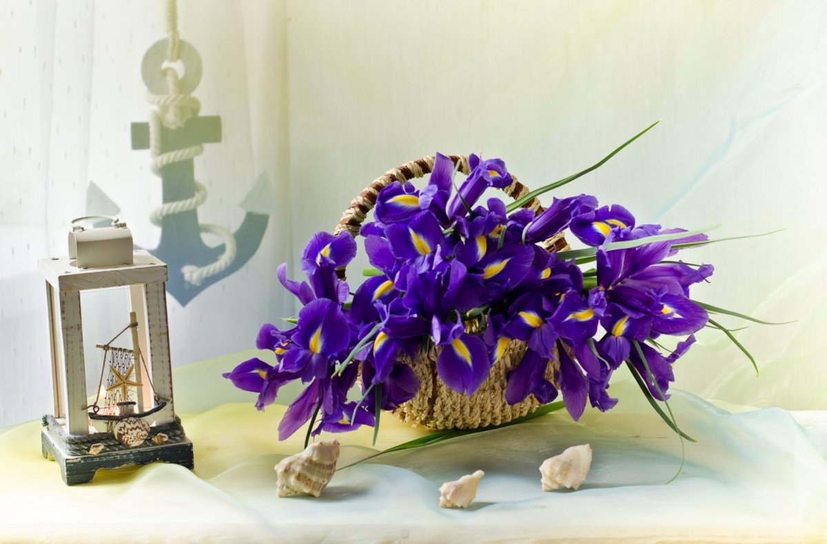 Фон Ирис акварель