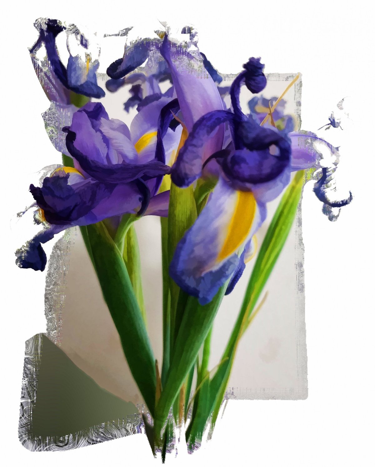 С днём рождения красивый букет ирисов
