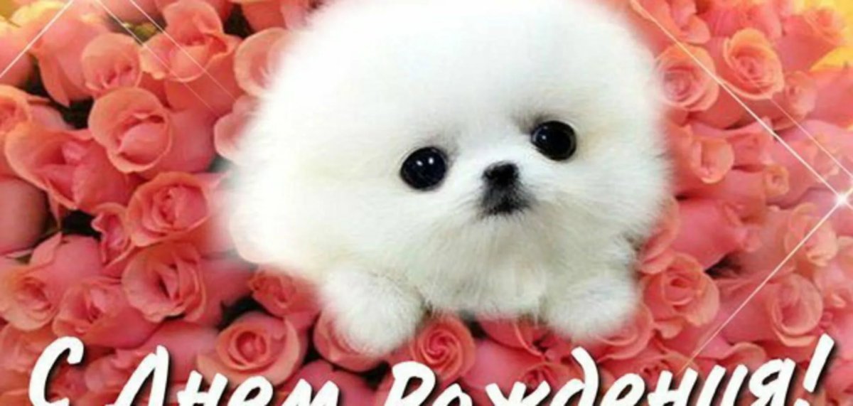 Поздравления с днём рождения девушке оригинальные