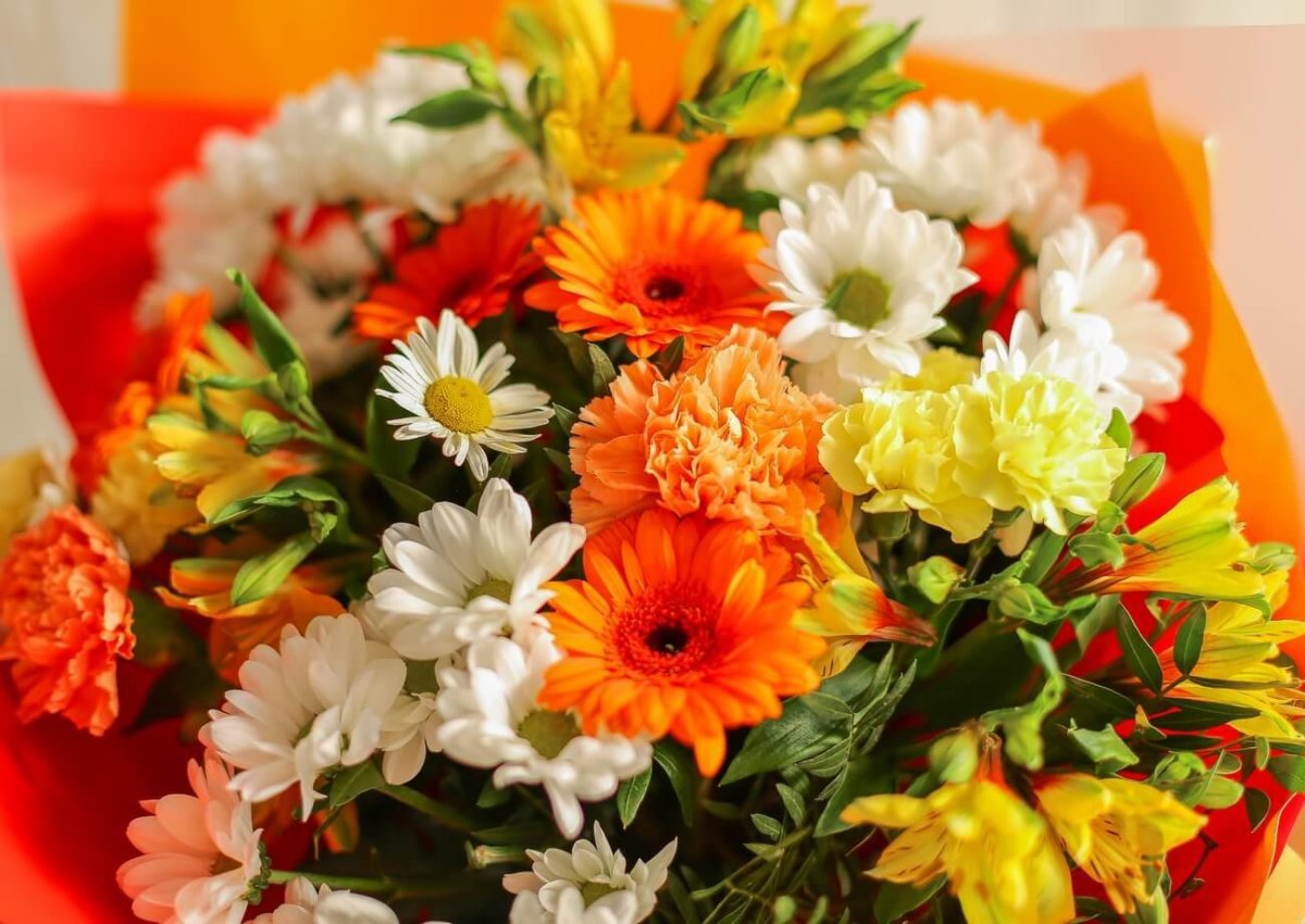 Букет 5 гербер и гипсофила