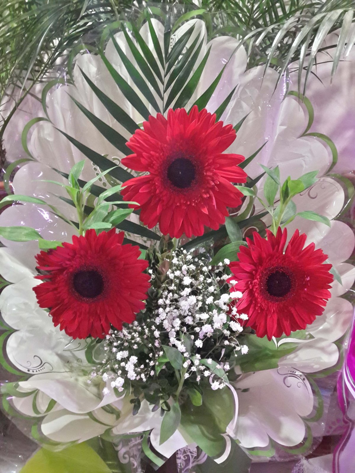 Герберы с гипсофилой букет