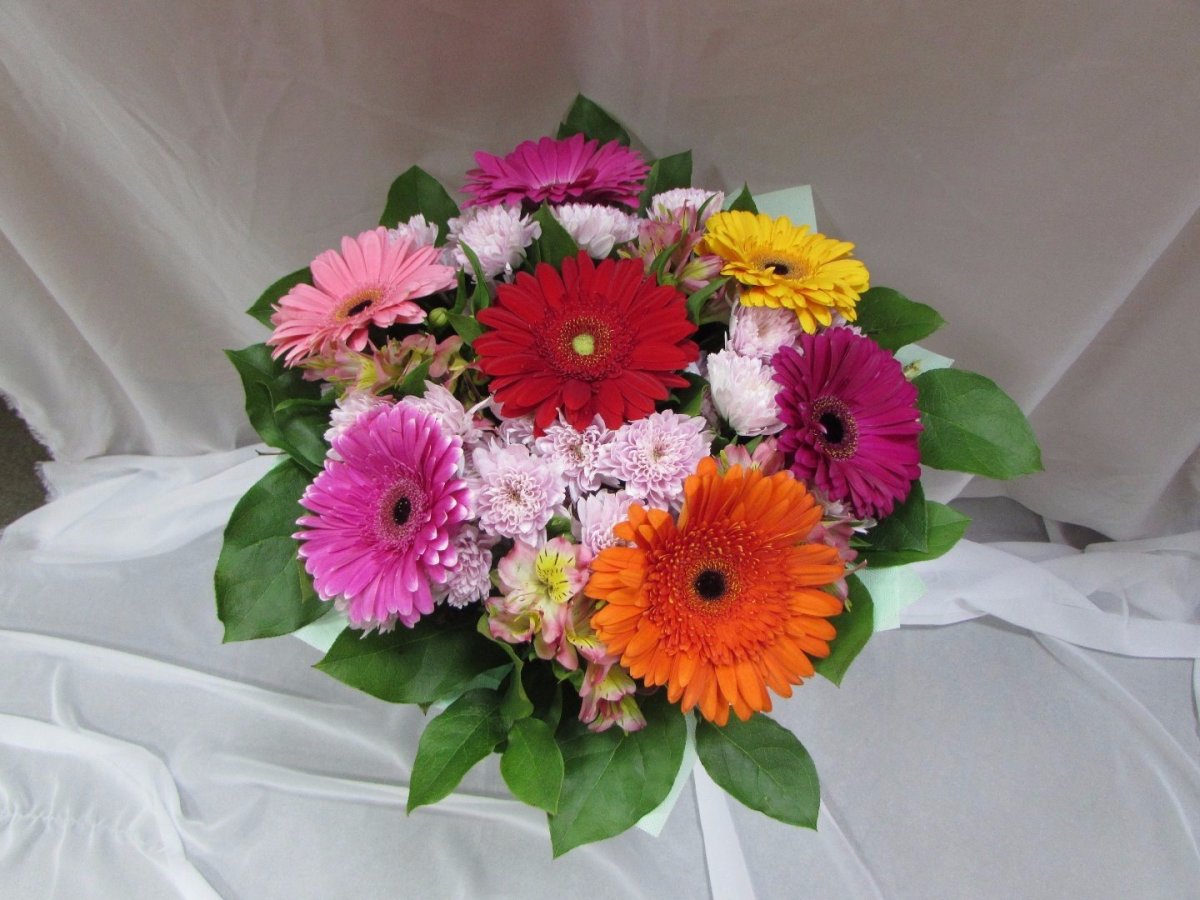 Гипсофилы и герберы