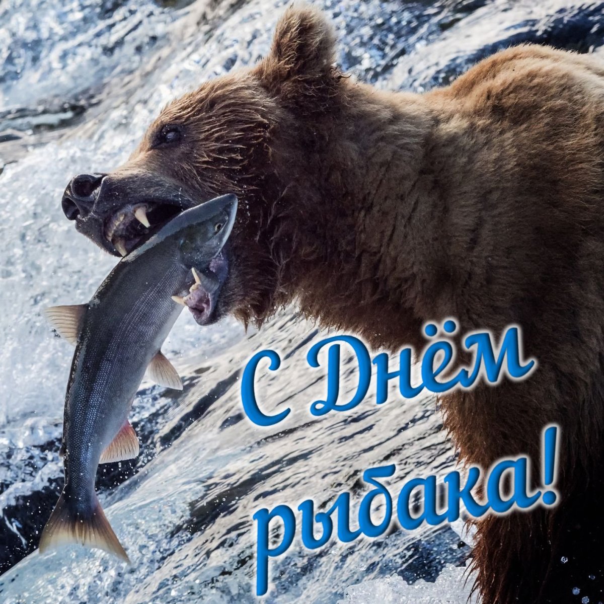 День рыбака
