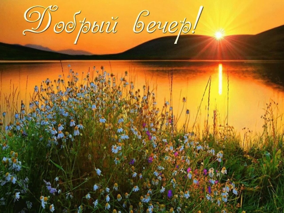 Чудесного летнего вечера