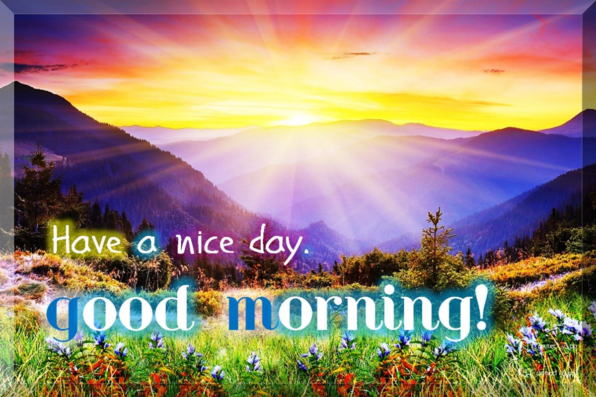 Открытка have a nice Day