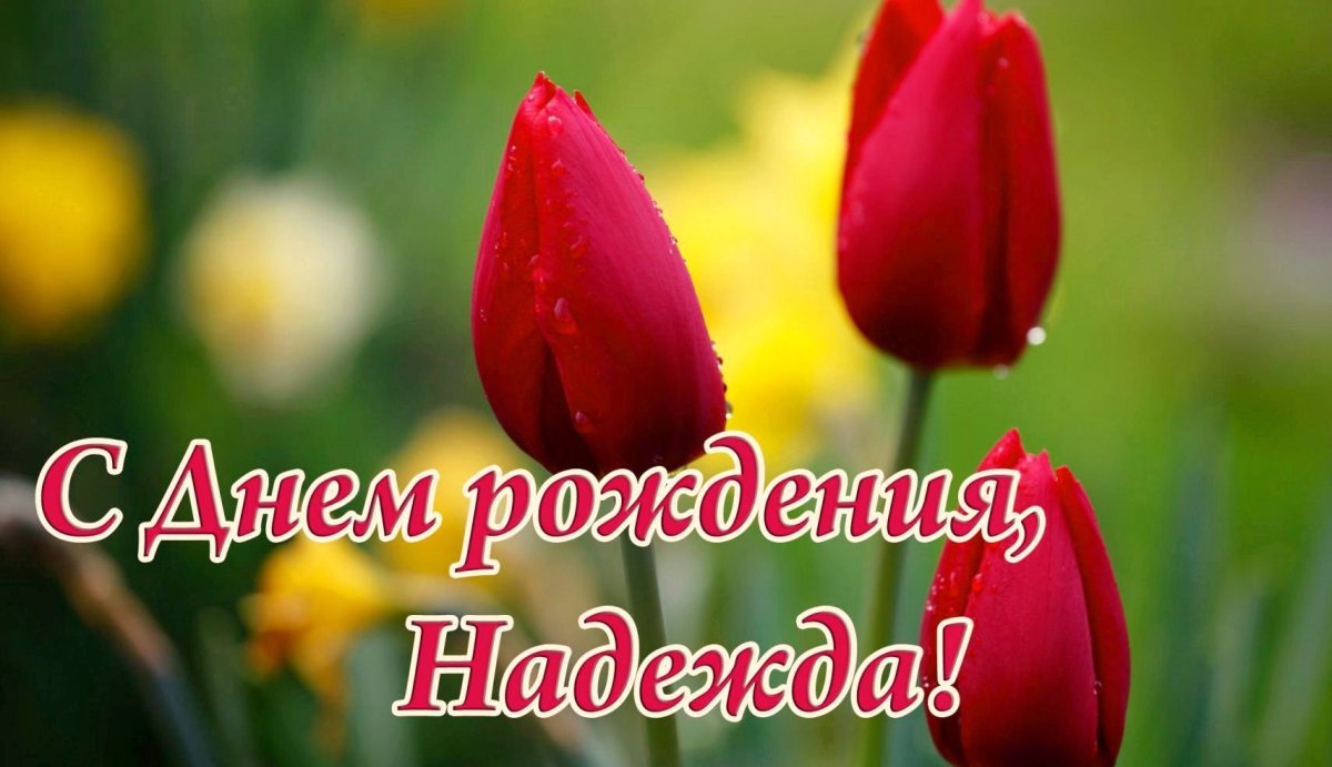 Открытки с днём рождения Надежда