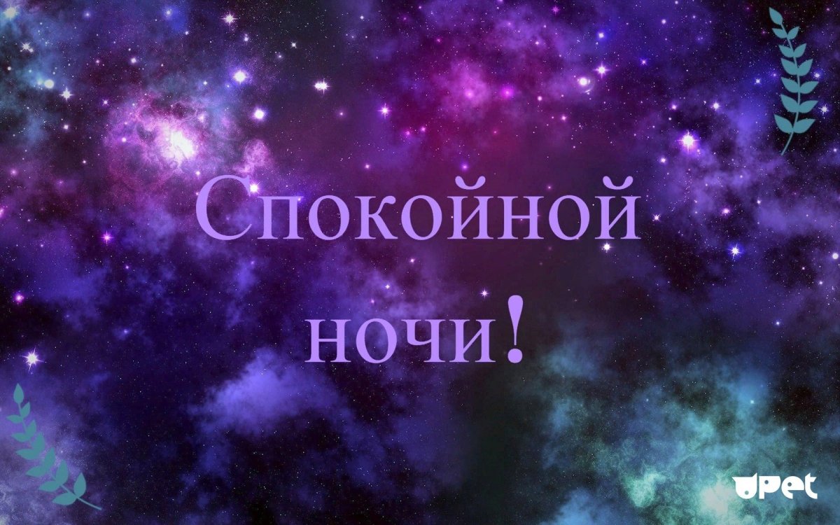 Фон с именем Настя