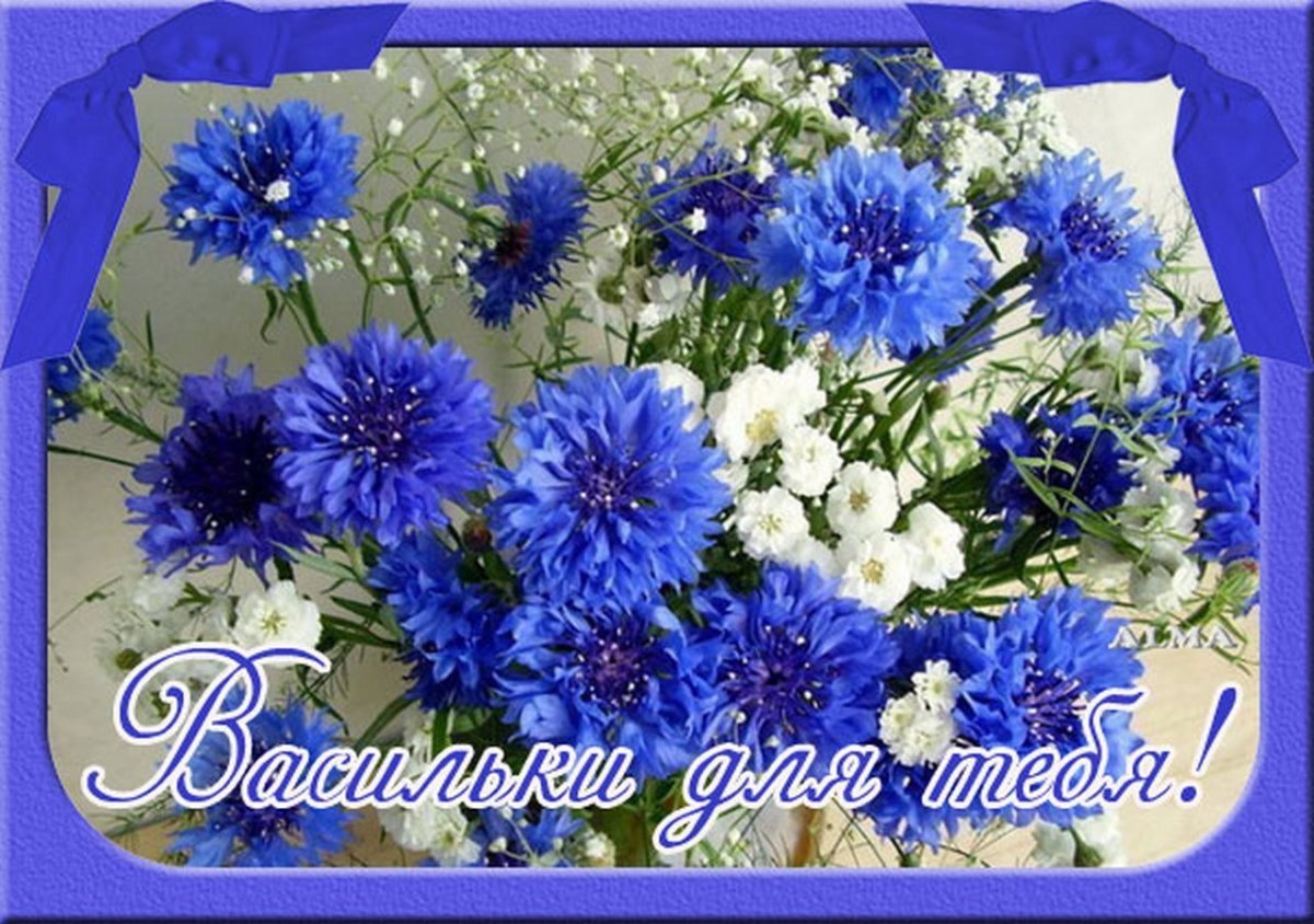 Поздравление с именинами Василия