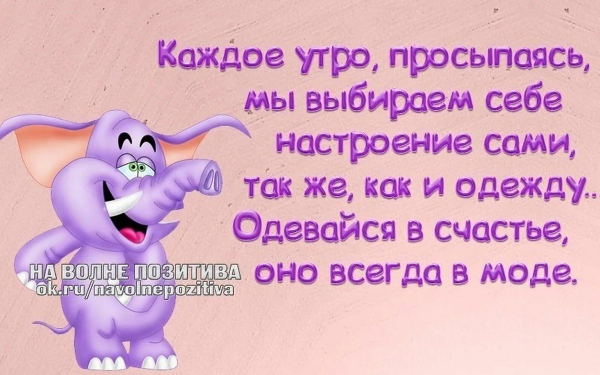 Афоризмы для поднятия настроения