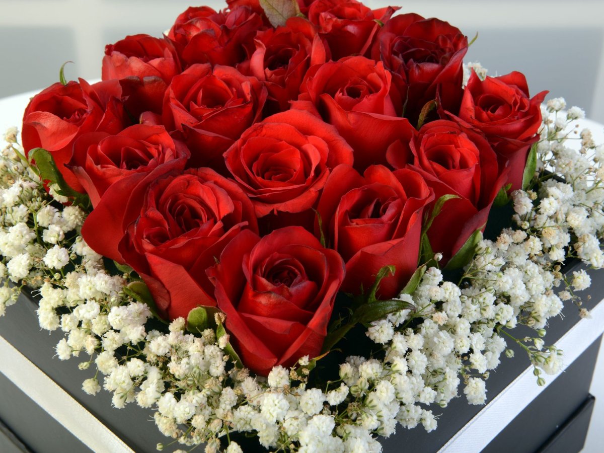 Гулар дунёси