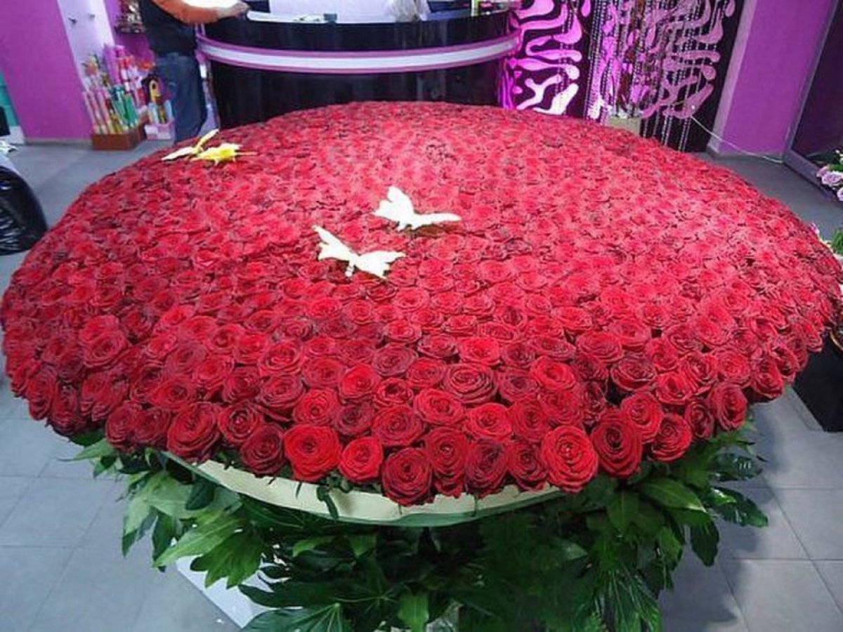 Гуллар олами