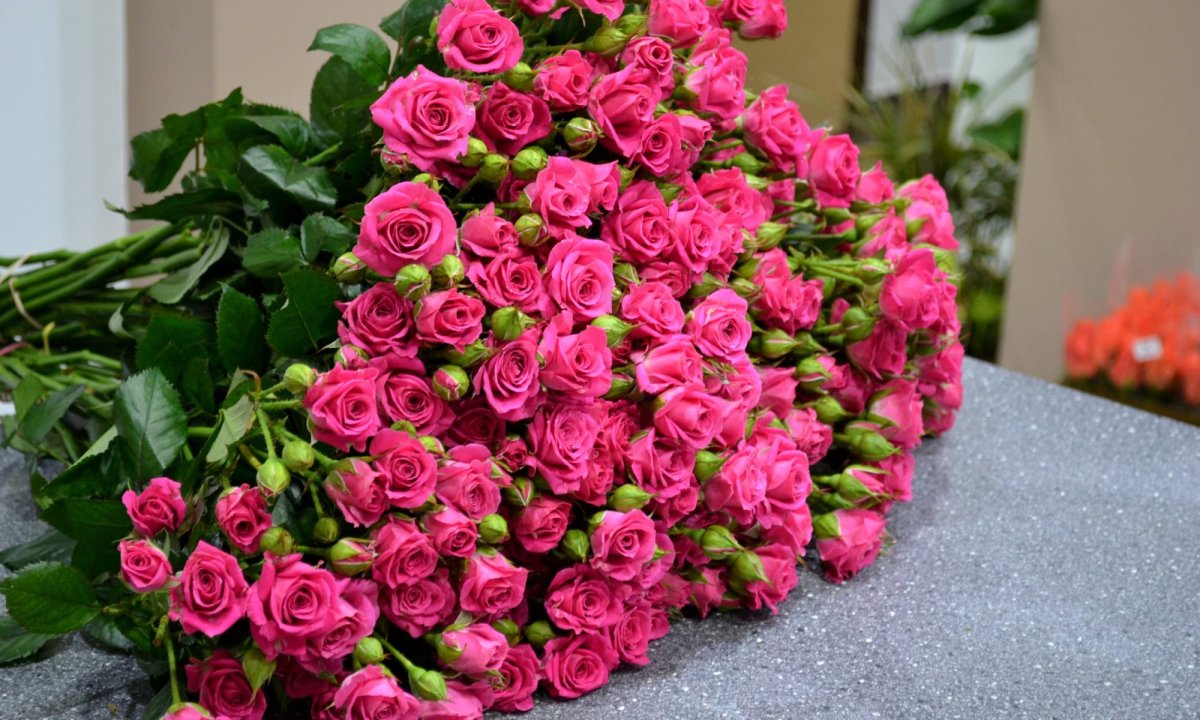 Красные розы