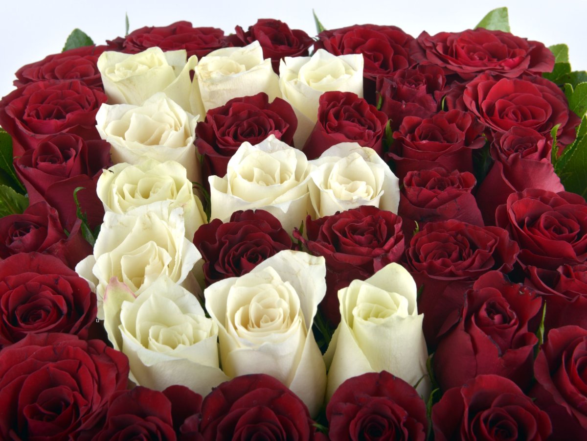 Самый красивый подарок для девушки