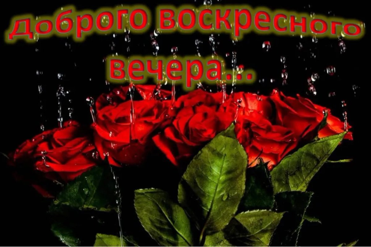 Доброго воскресного вечера