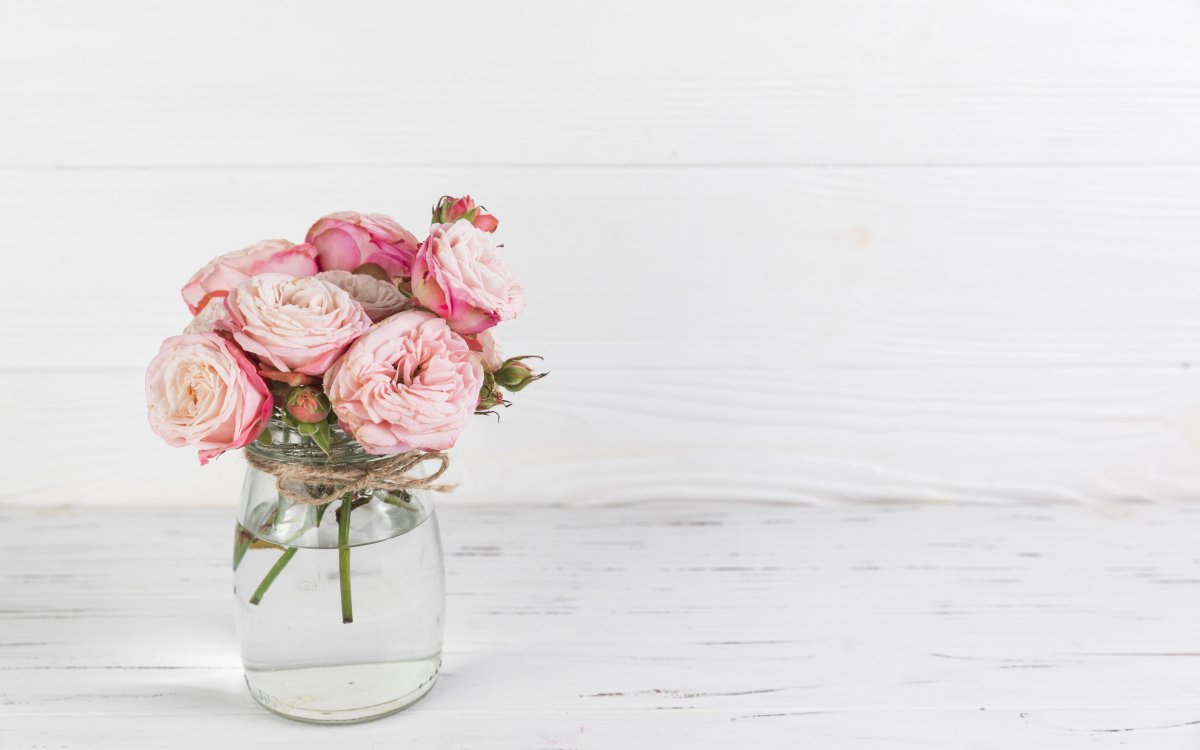 Пионы в вазе на белом фоне