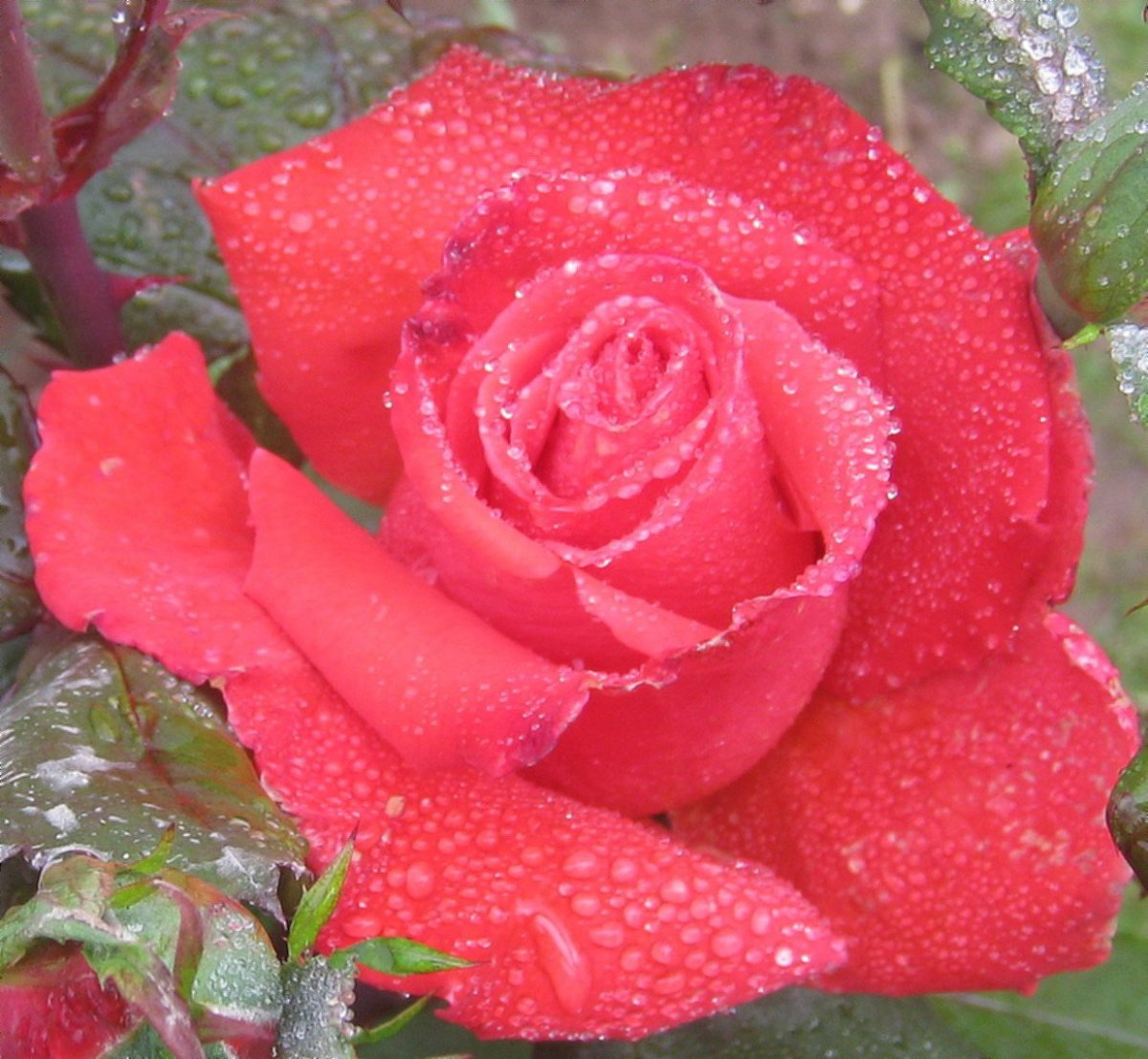 Поздравления с днём рождения Юлии