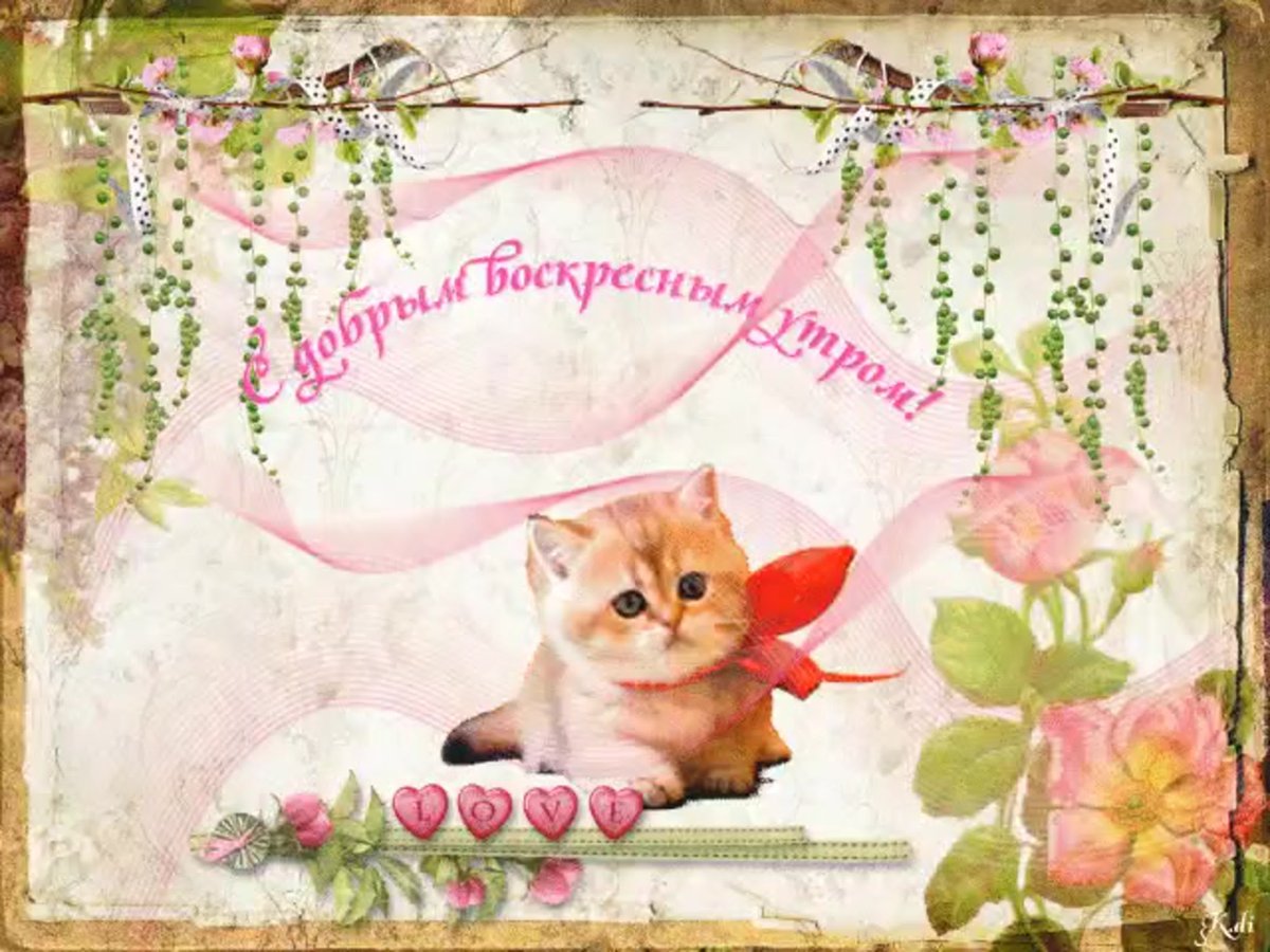 Новогодние пожелания с добрым утром