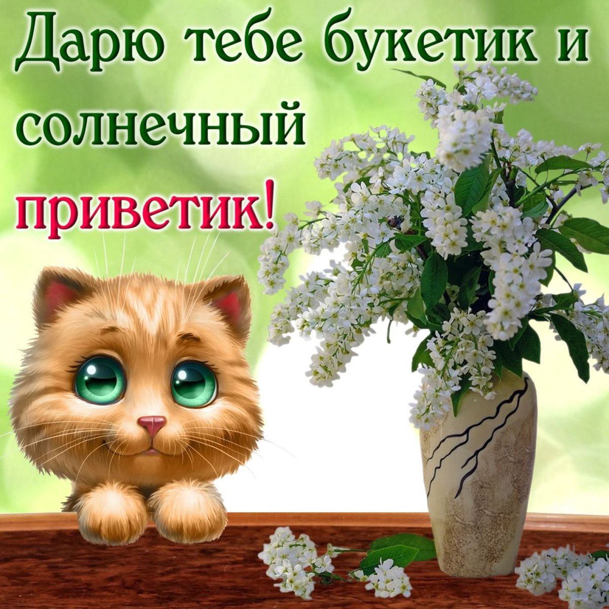 Розы с пожеланием доброго утра и дня